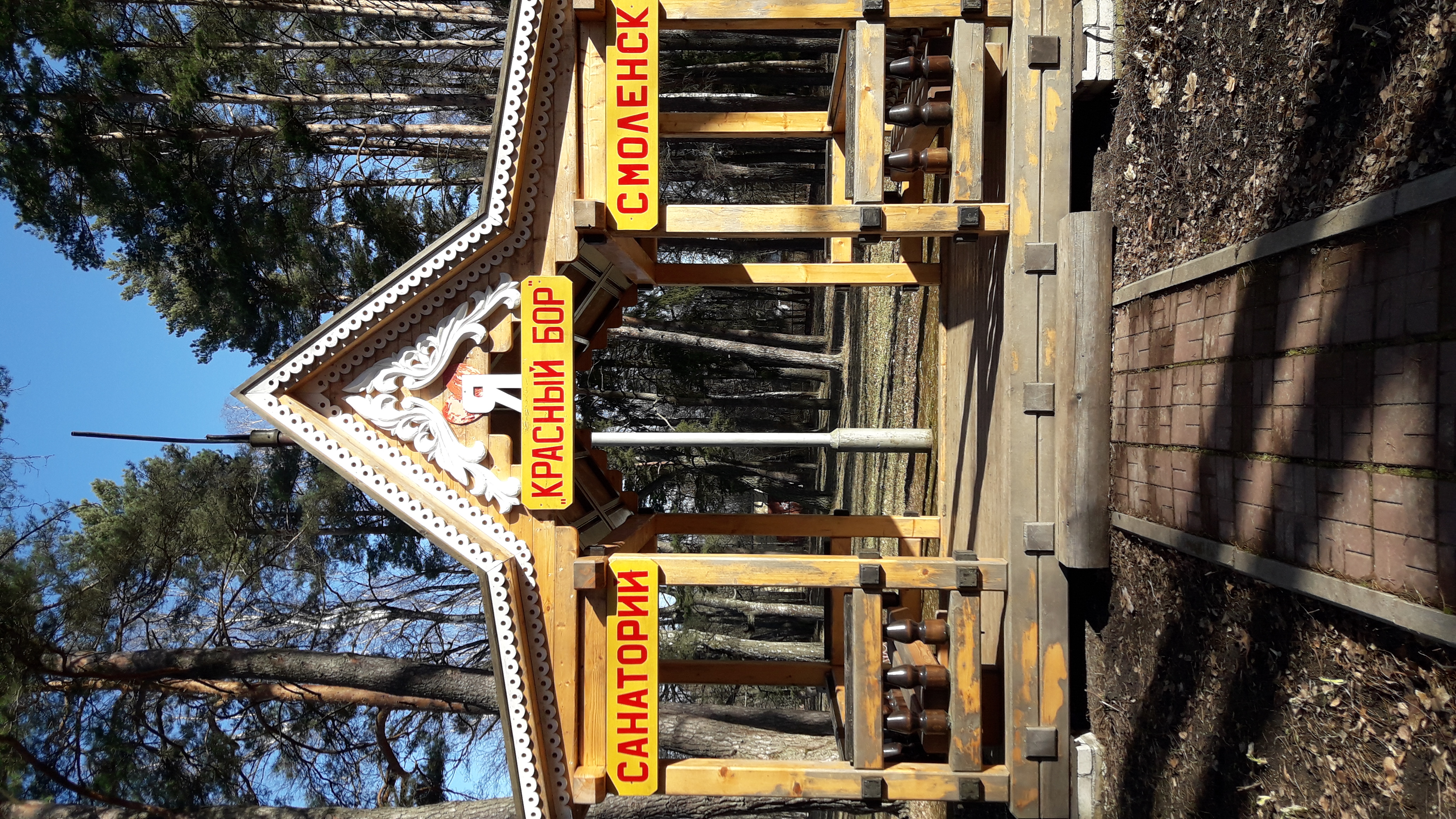 Фото Красный бор