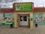 Угловой на Пушкина (ул. Александрова, 36, Волжский), магазин продуктов в Волжском