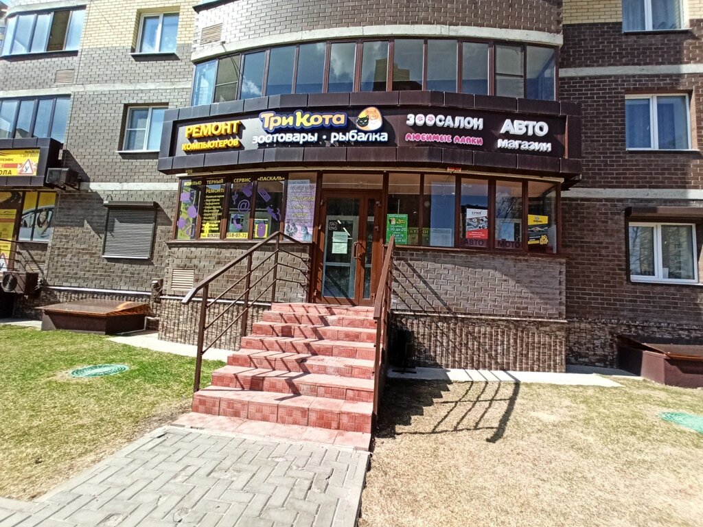 Phone repair Paskal, Voronezh, photo