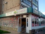 Goncharnaya lavka, magazin (Komsomolskaya ulitsa, 115), gardening shop