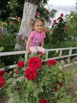 Detsky sad № 62 Raduga (Privokzalnaya Street, 76), jardín de infancia, guardería