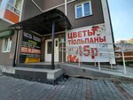 Rss (Dmitriya Martynova Street, 24), reparación y servicios de computadoras