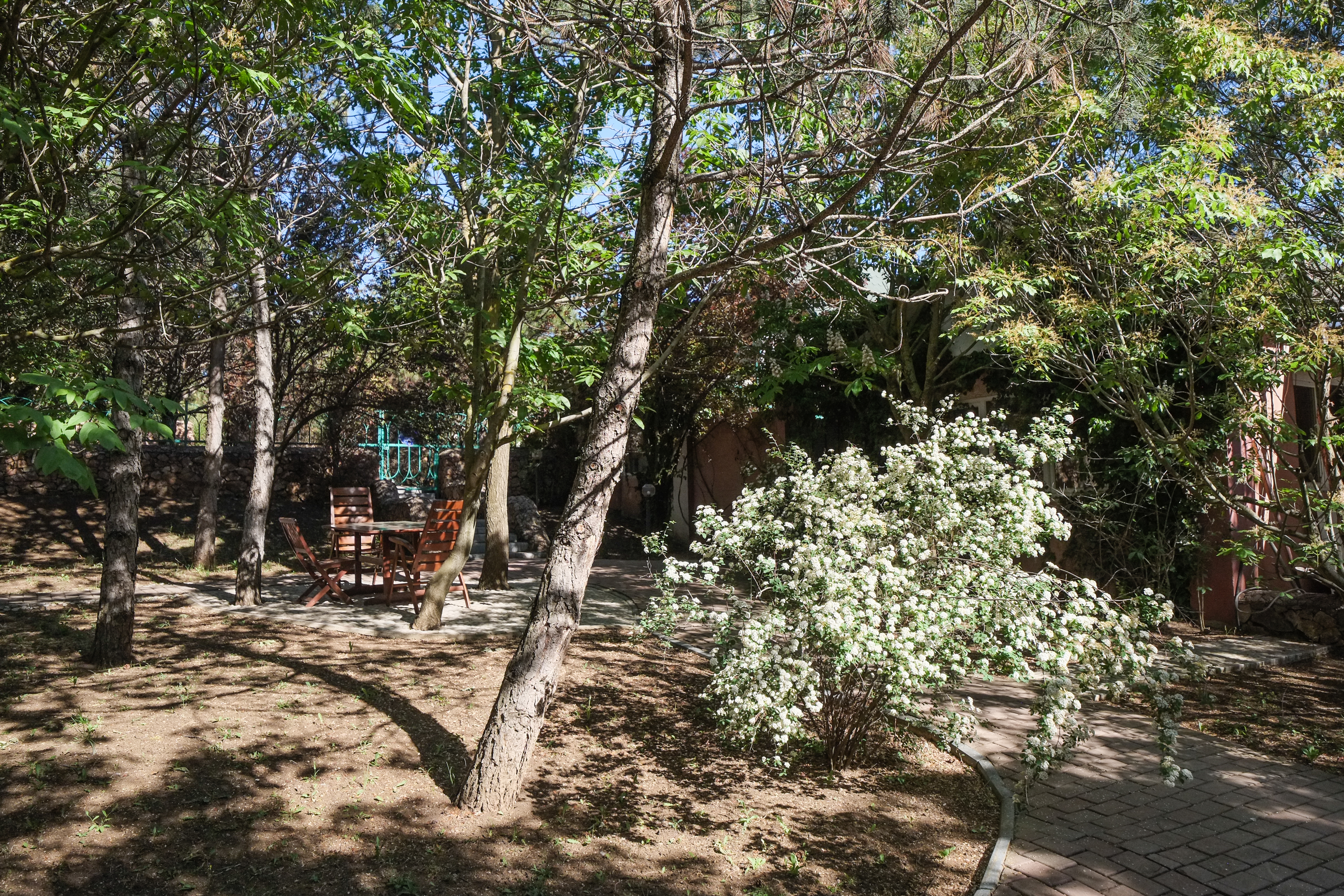 Фото Качинская