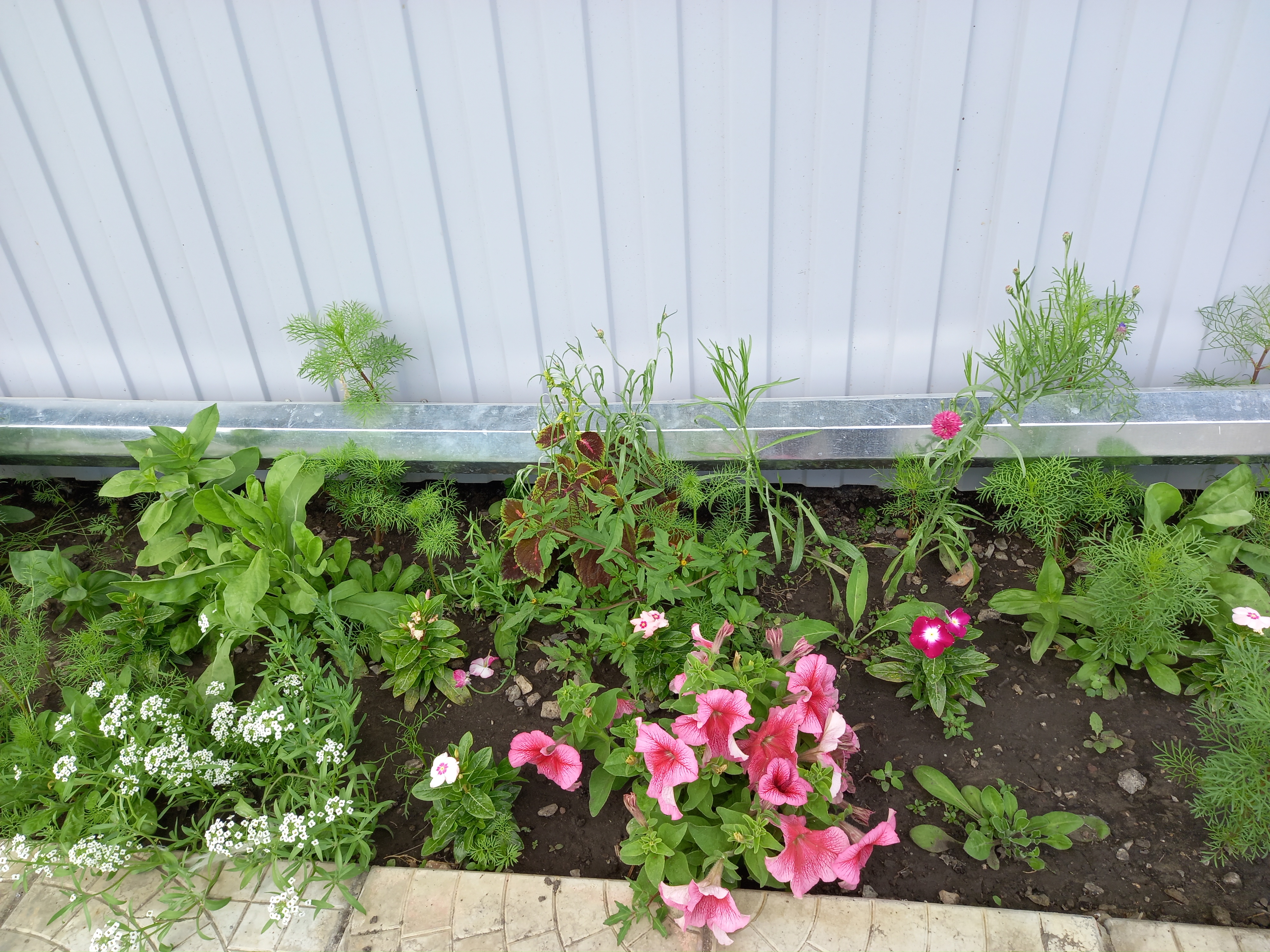 Фото Ваш Дом