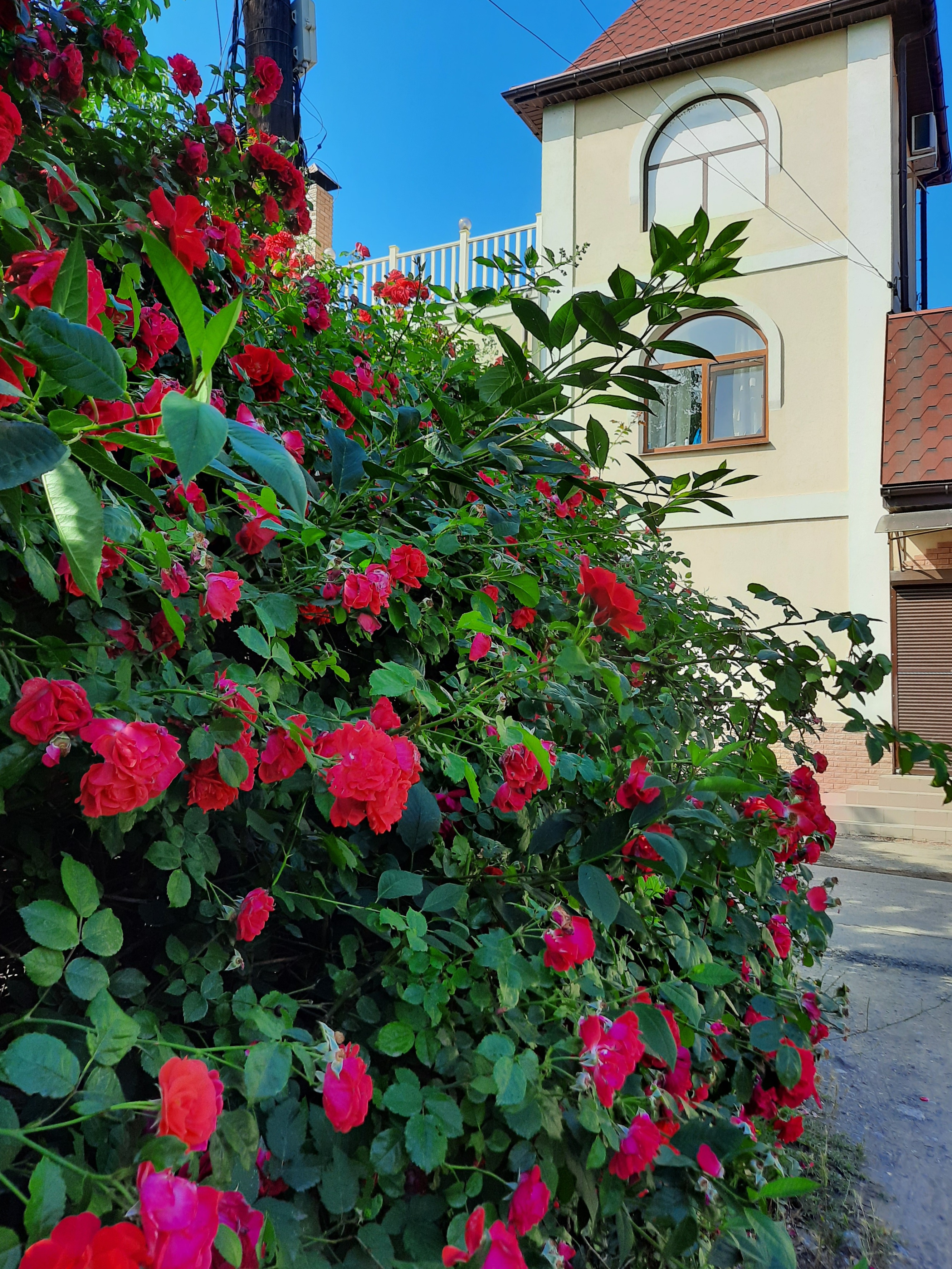 Фото Мармарис