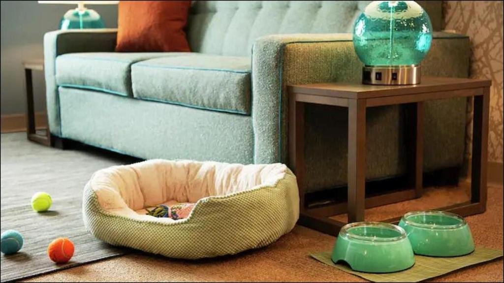 Фото Home2 Suites by Hilton Norfolk Airport