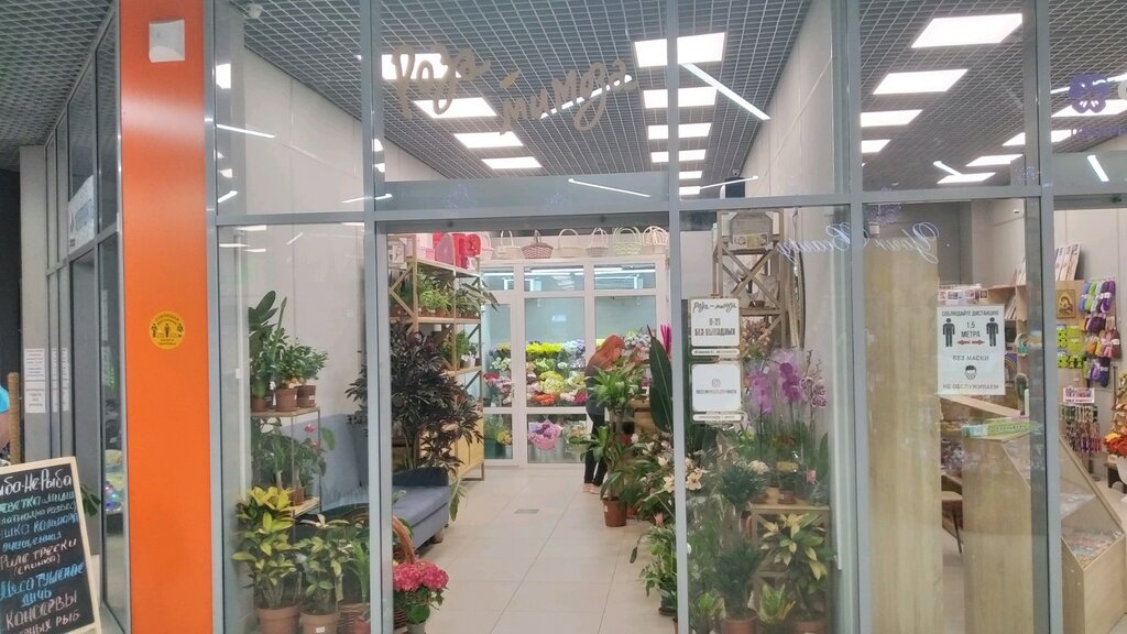 Магазин цветов Роза-мимоза, Брянск, фото