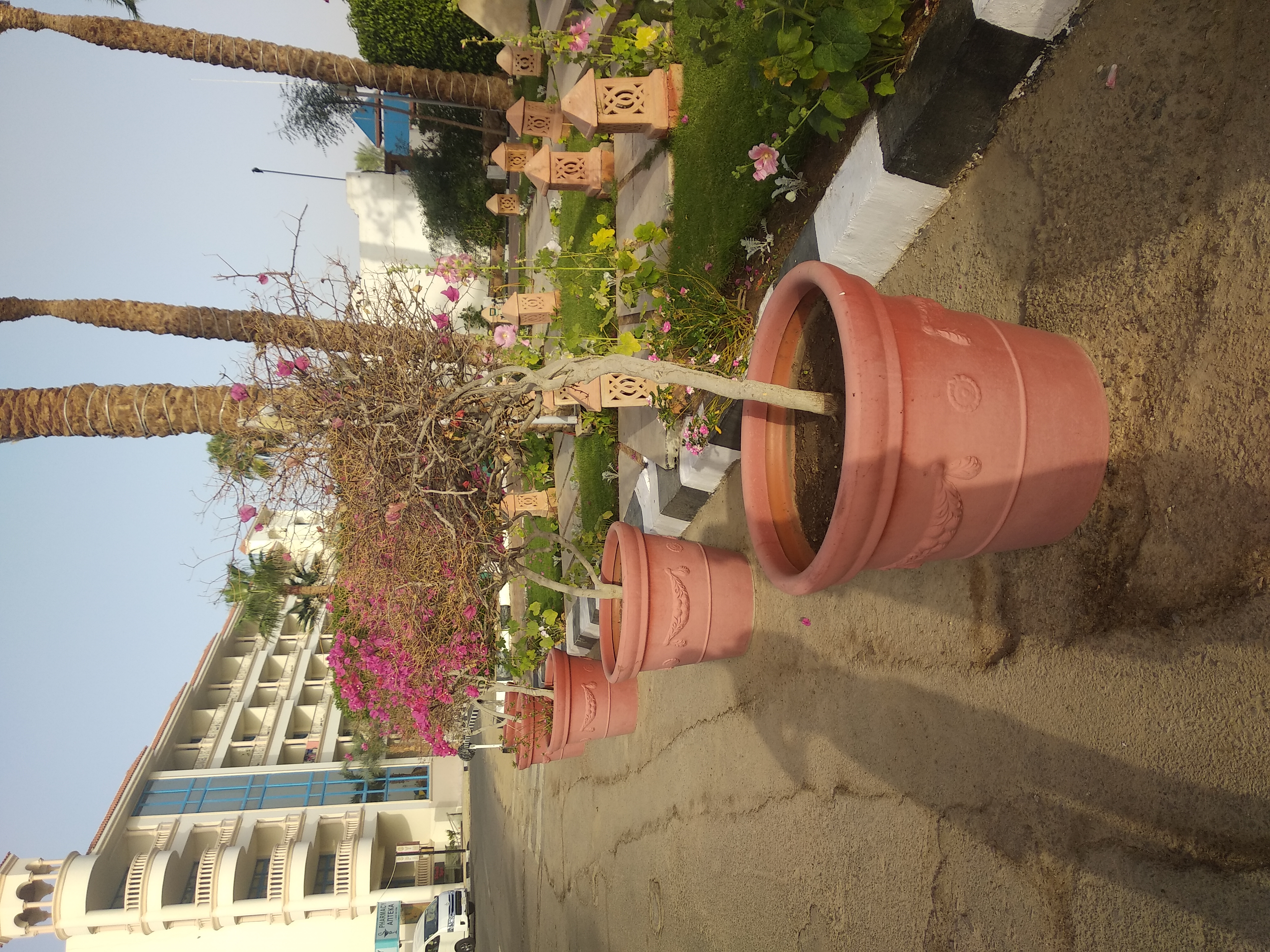 Фото Lido Sharm Hotel