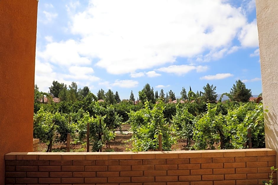 Фото South Coast Winery Resort and SPA