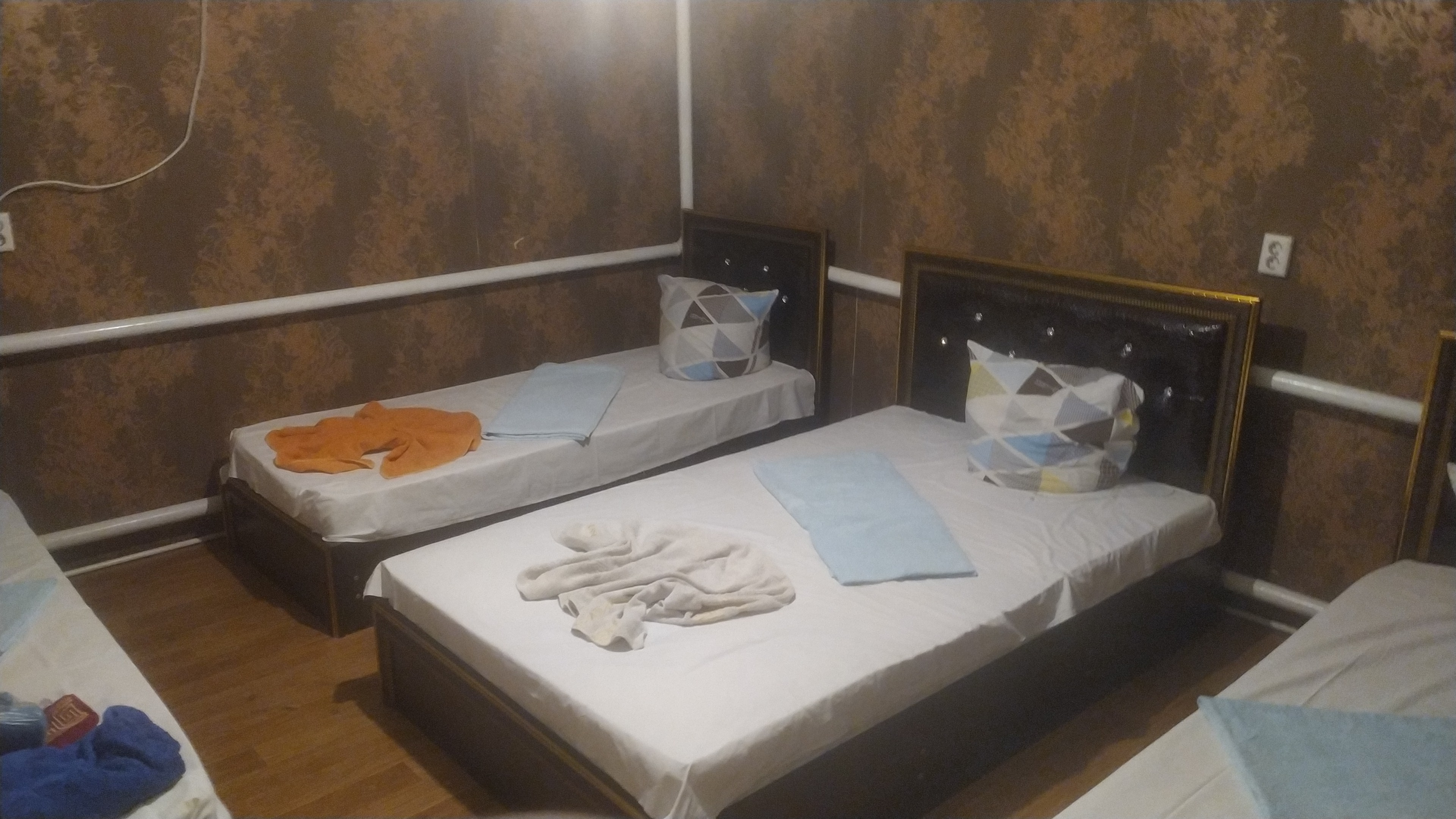 Фото Светлана