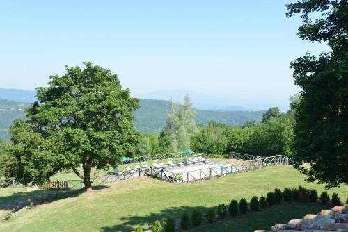 Фото Villa Cretole