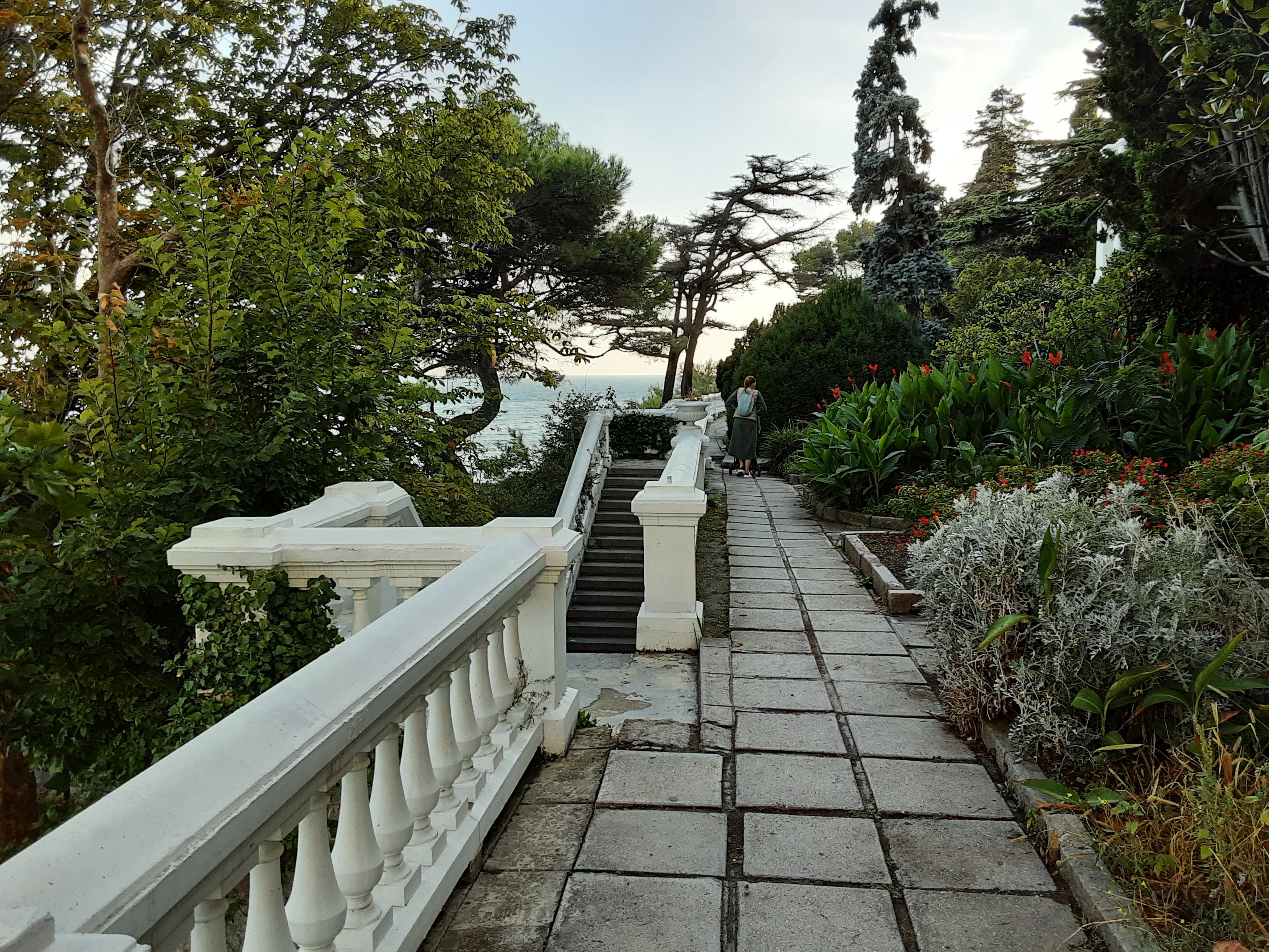 Фото Лиго Морская