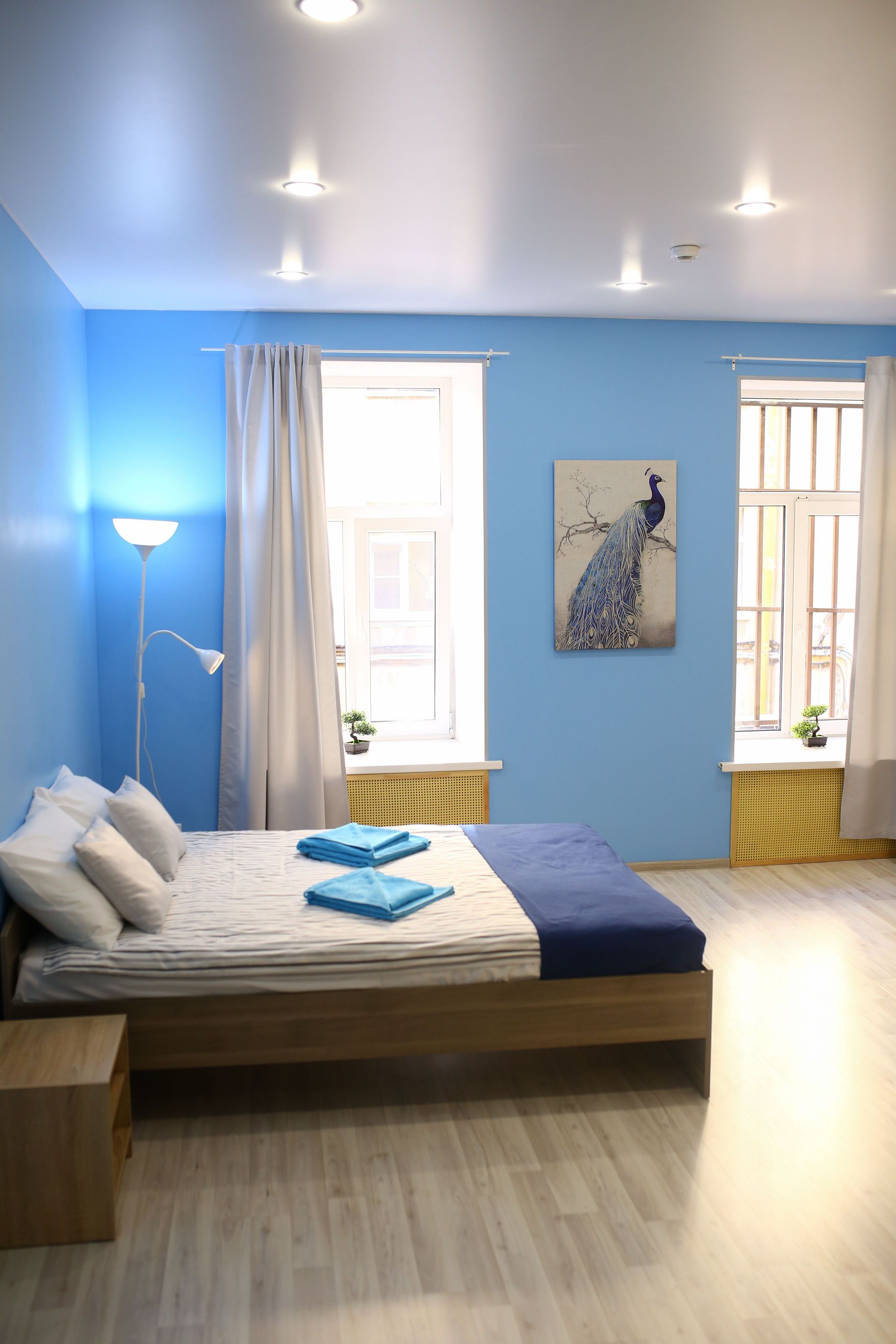 Фото Северный ветер