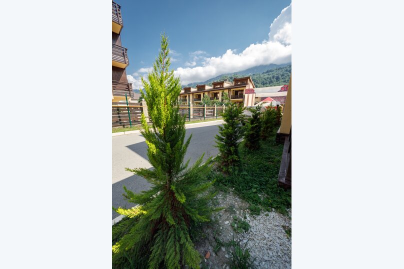 Фото Сердце Поляны