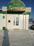 Камелия (Tsimlyanskaya ulitsa, 56А), grocery