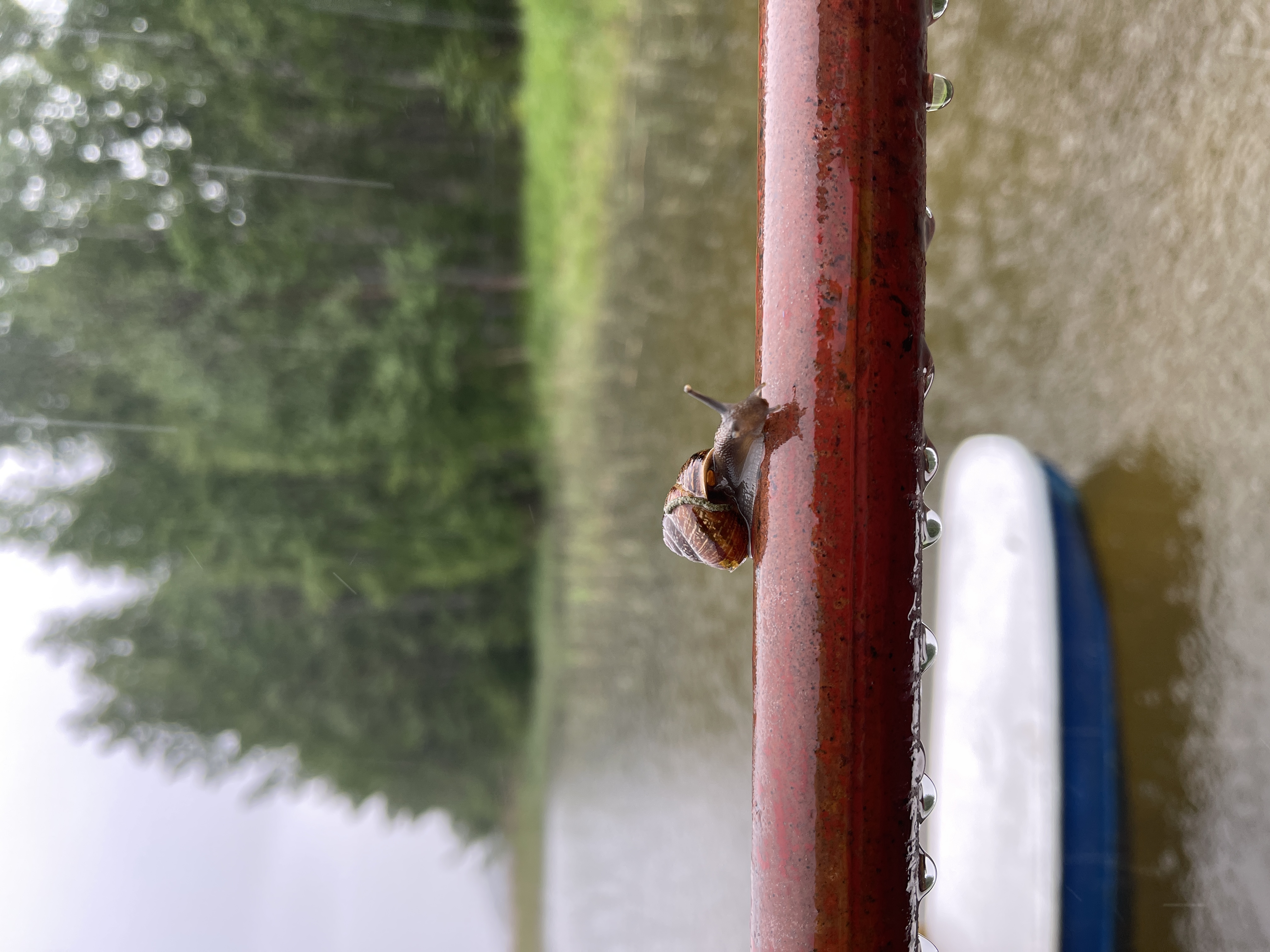 Фото Авиаретро