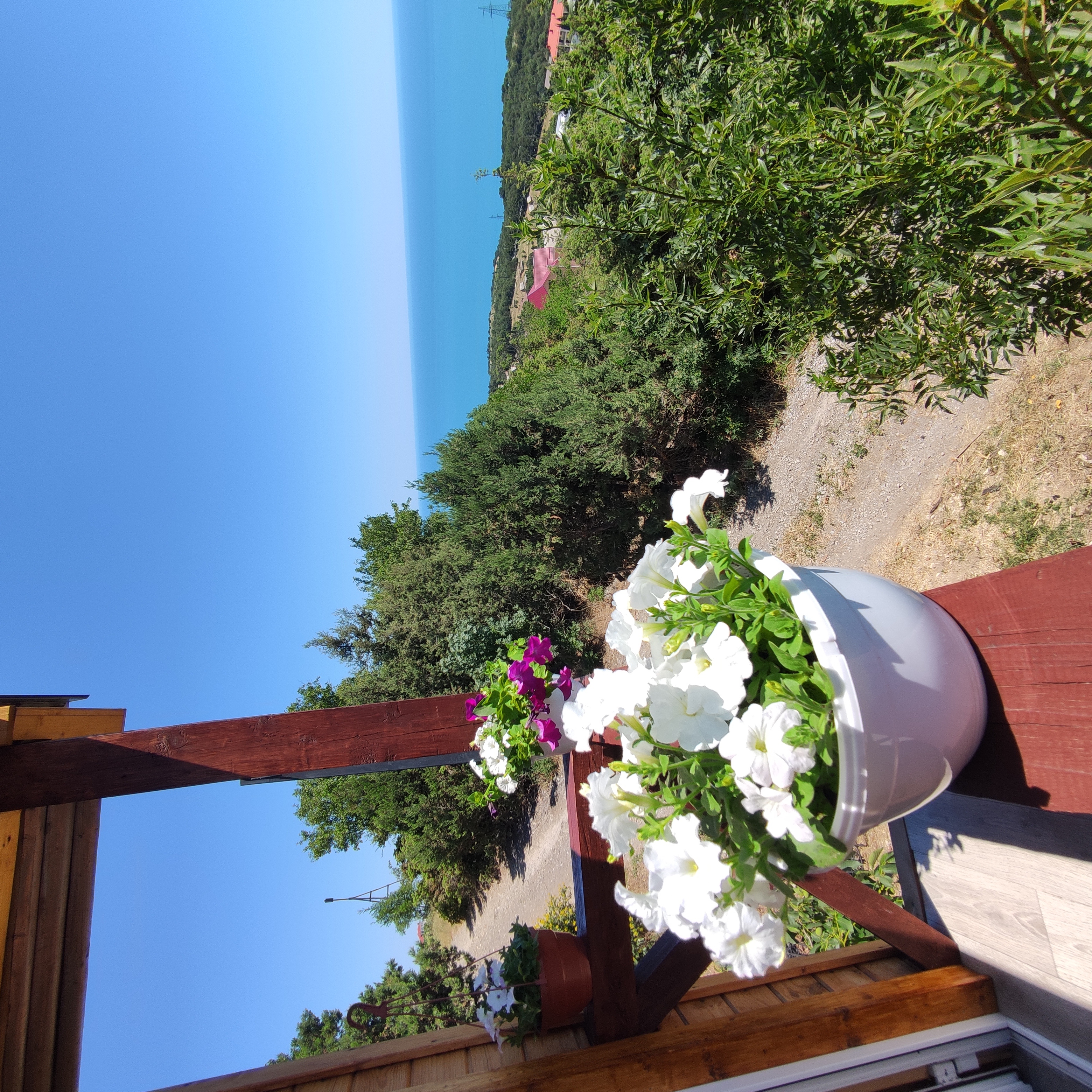 Фото Панорамный сруб