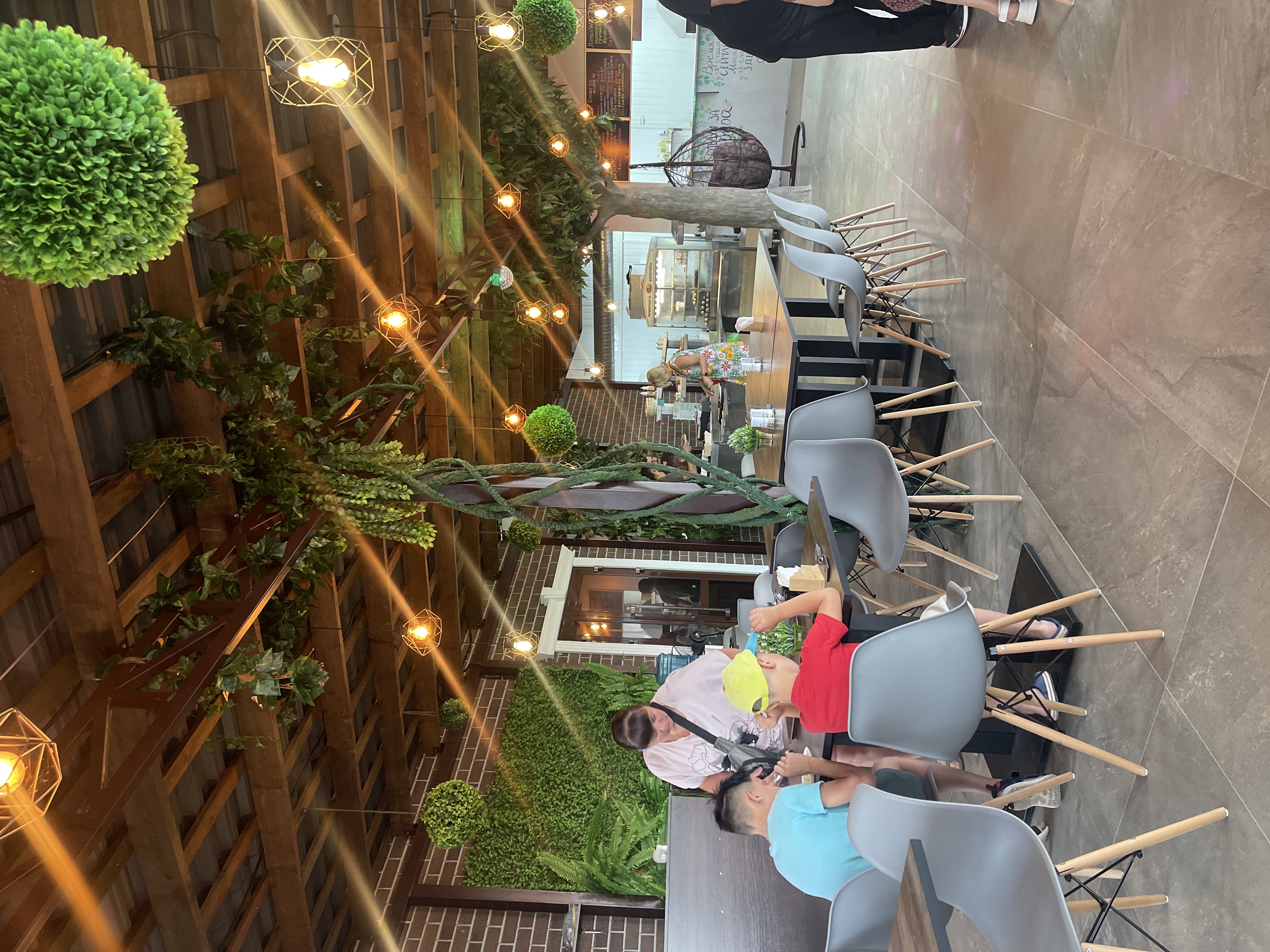 Фото Дионида