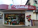 Flower Kiosk (Bolnichnuy Gorodok Microdistrict, Chebrikova Street, 7Д), flower shop