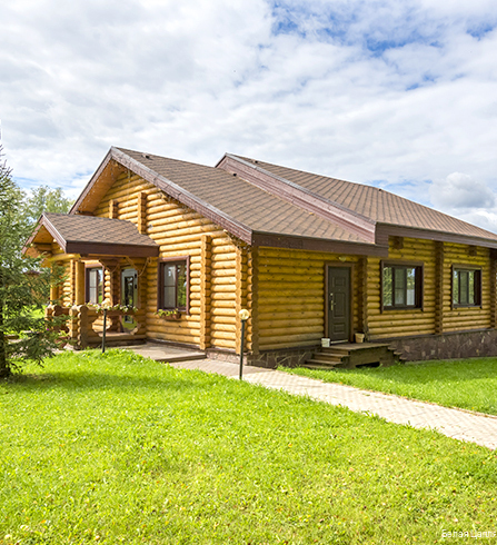 Фото Белая цапля