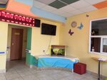 Tsentr Zdorovye (Dovatora street, 1А) ، مركز تأهيل اجتماعي