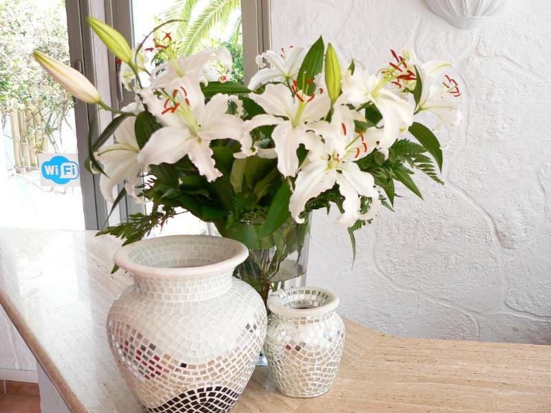 Фото Hotel Boutique Bon Repos - Adults Only