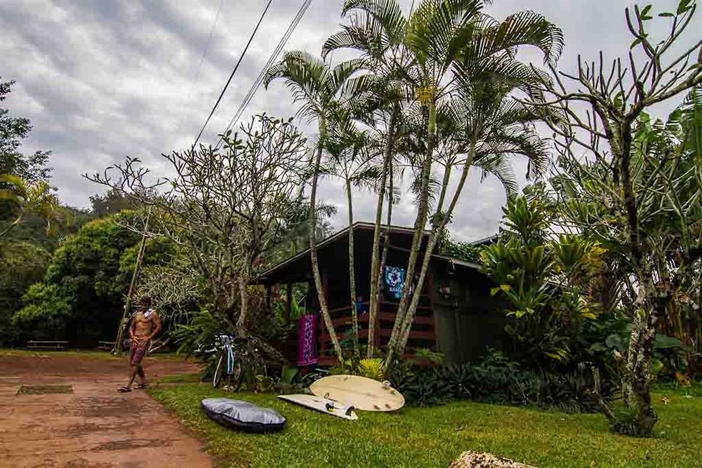 Фото Backpackers Vacation Inn and Hostel