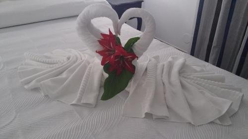 Фото Hostal Boutique Bajamar