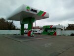 Альянс (Krasnodar Territory, Dinskoy Municipal District, Staromyshastovskoye selskoye poseleniye, khutor Novy), gasolinera