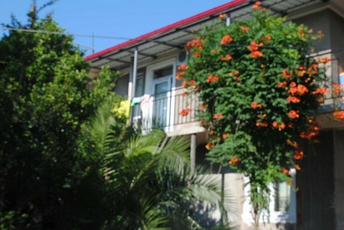 Гостиница Giga Guest House в Батуми