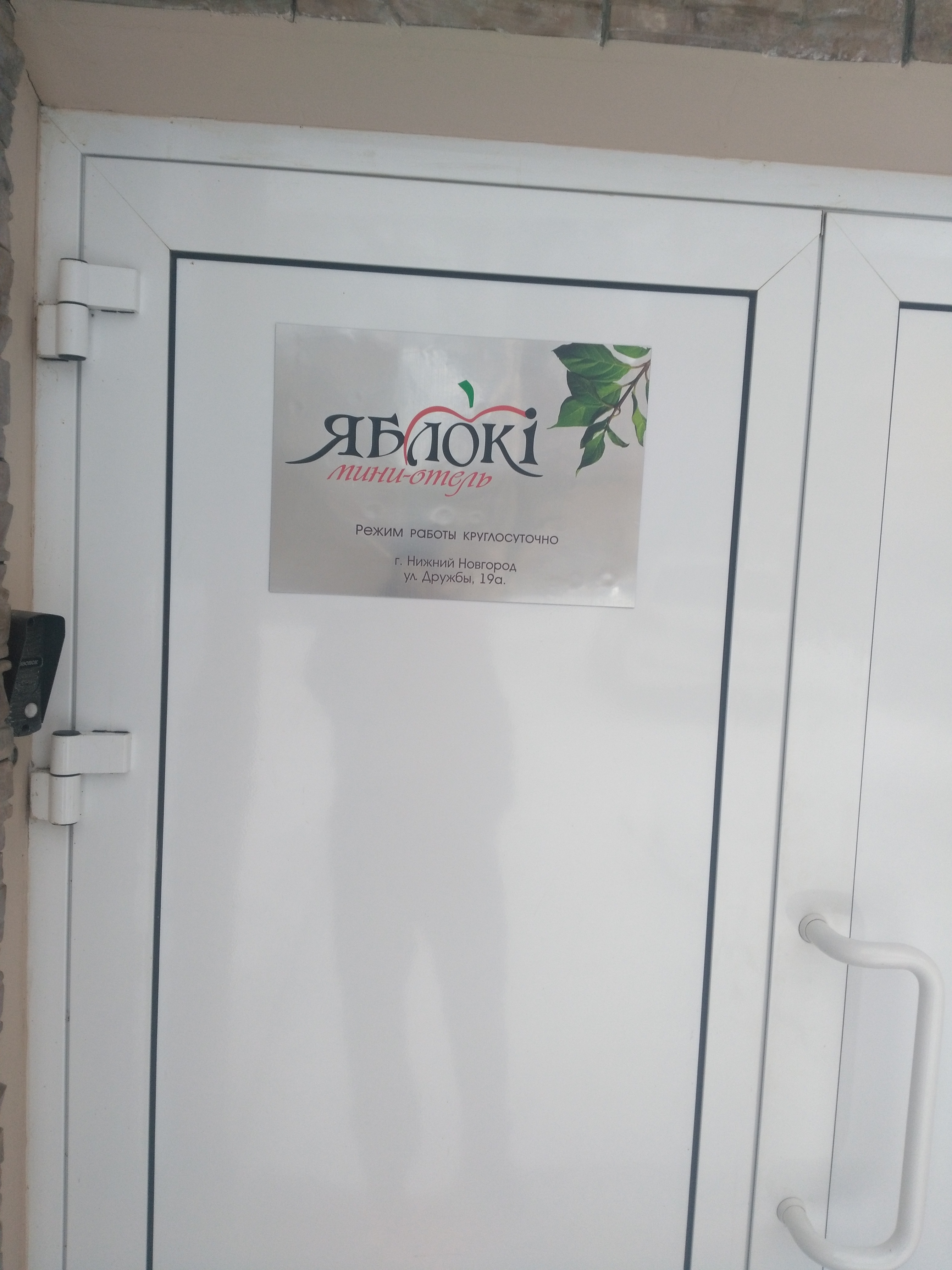 Фото Яблоки