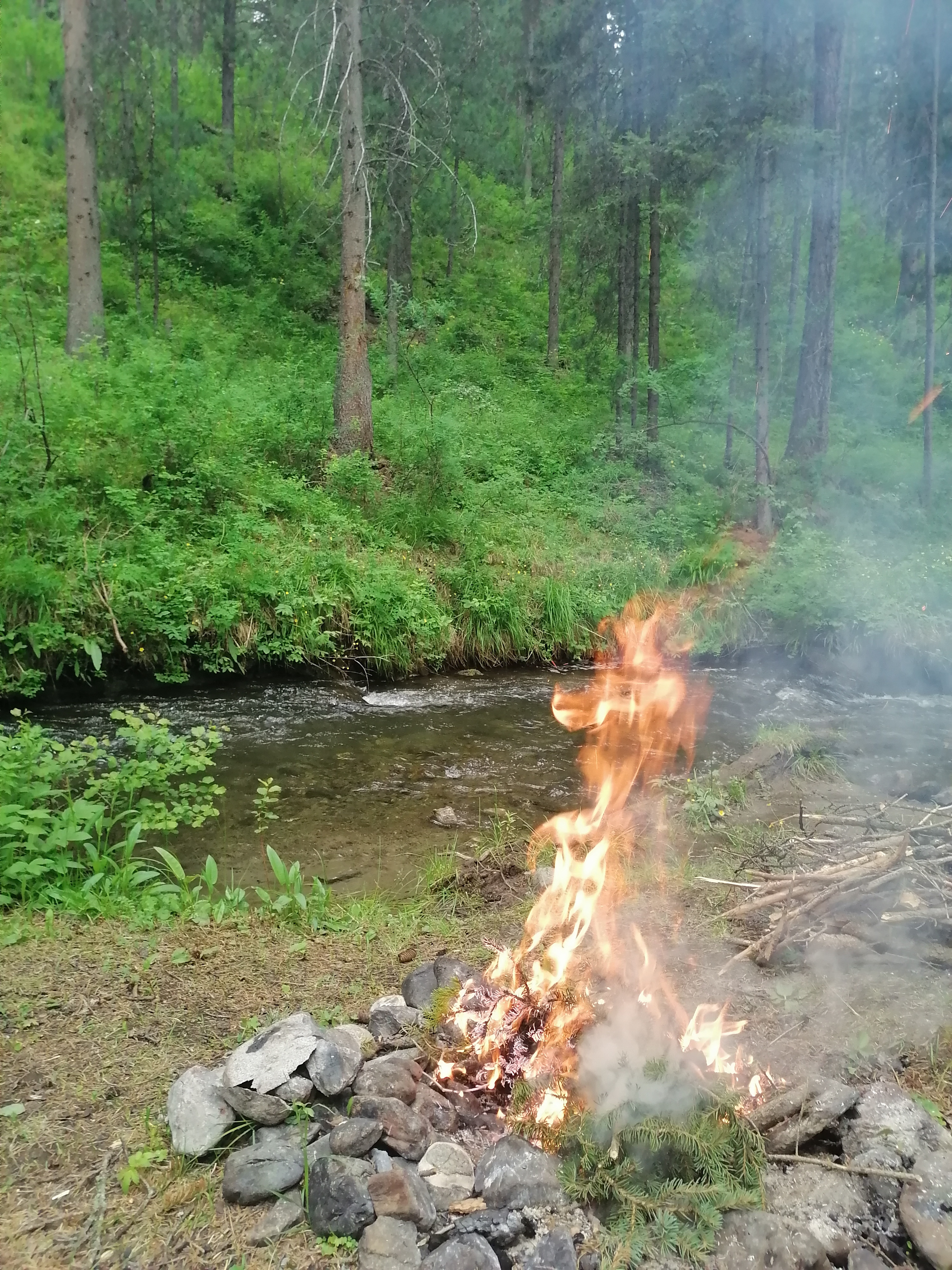 Фото Зелёный колобок