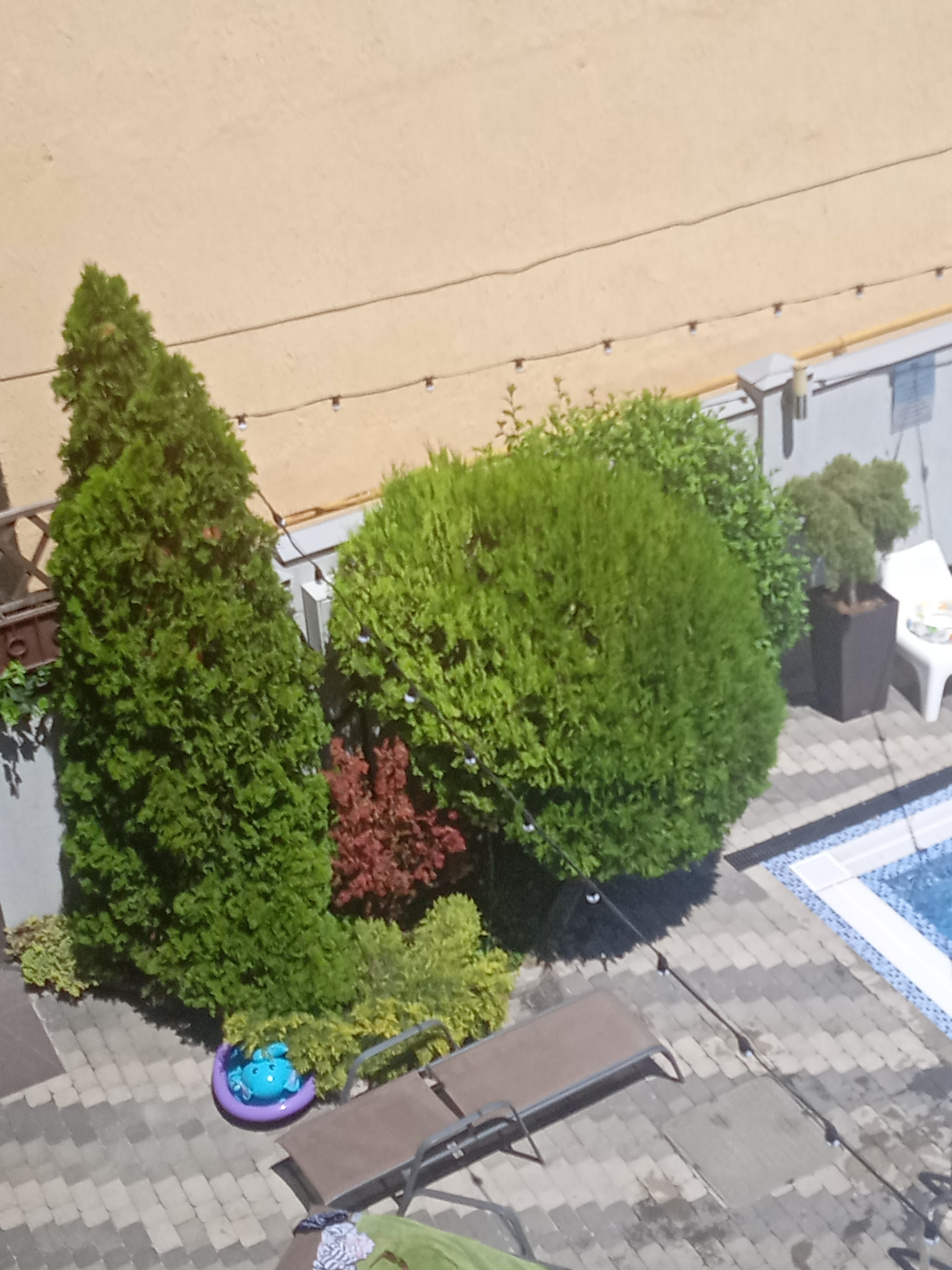 Фото Венеция