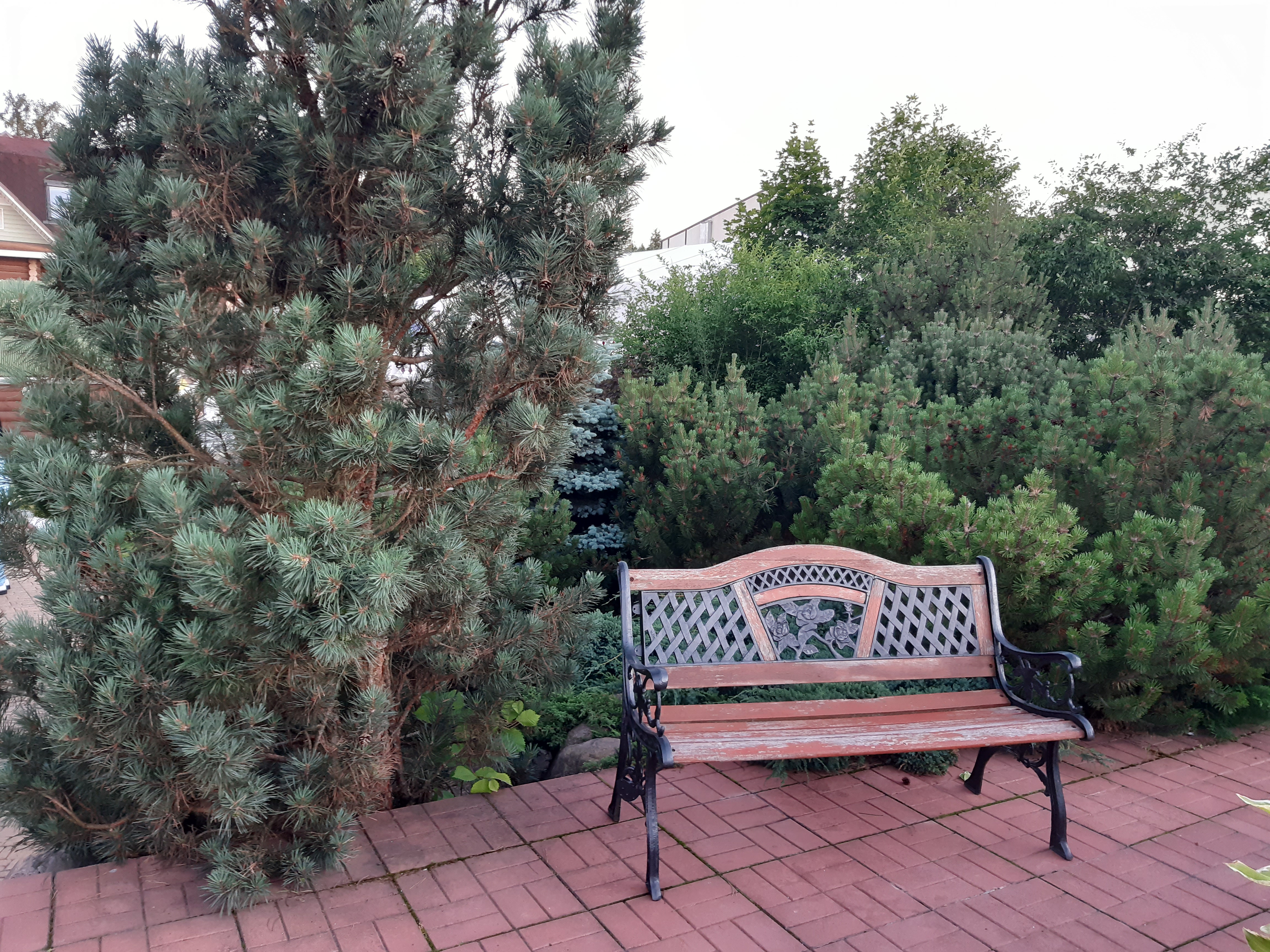 Фото Ю Питер