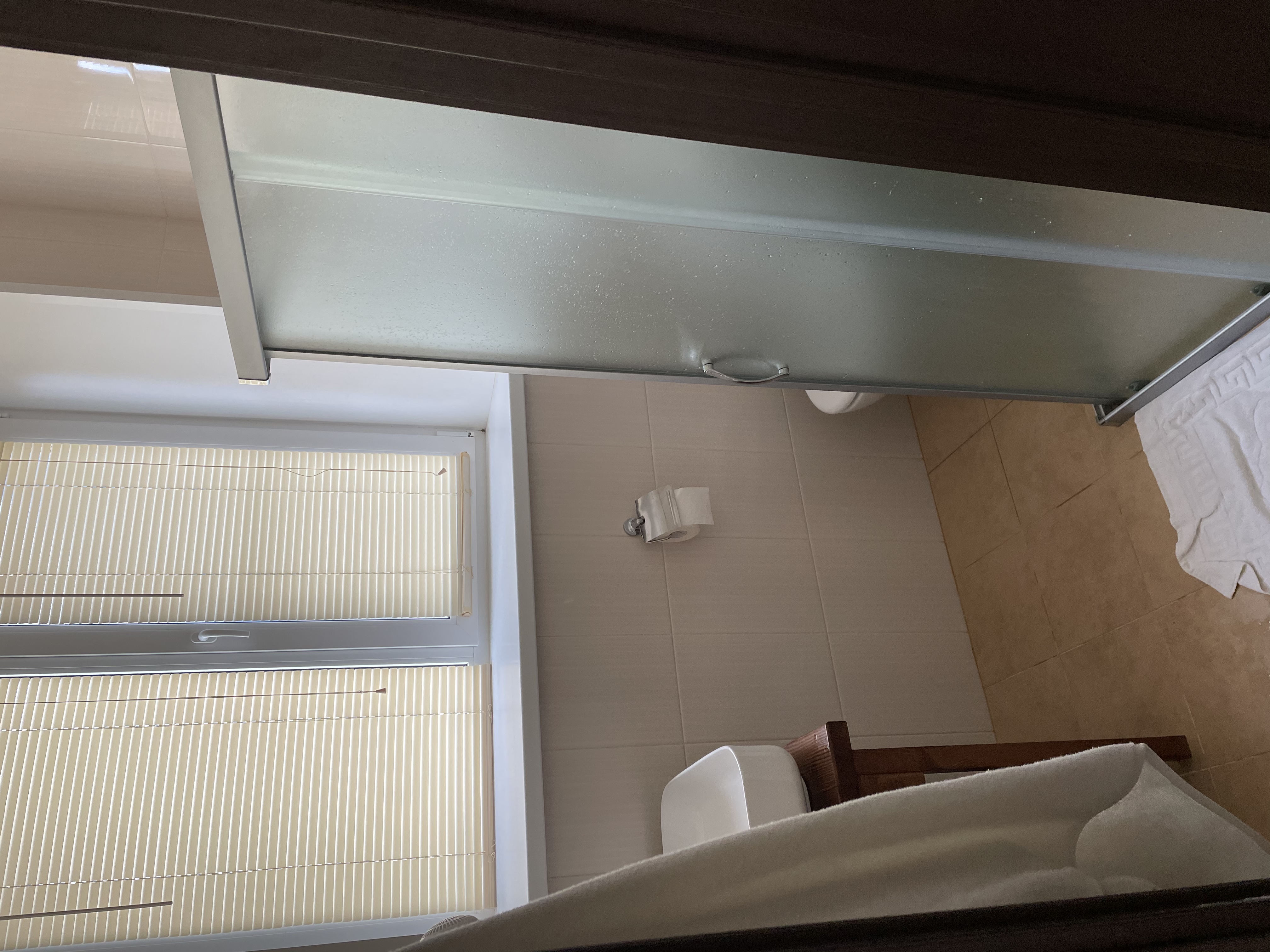 Фото Ромашка