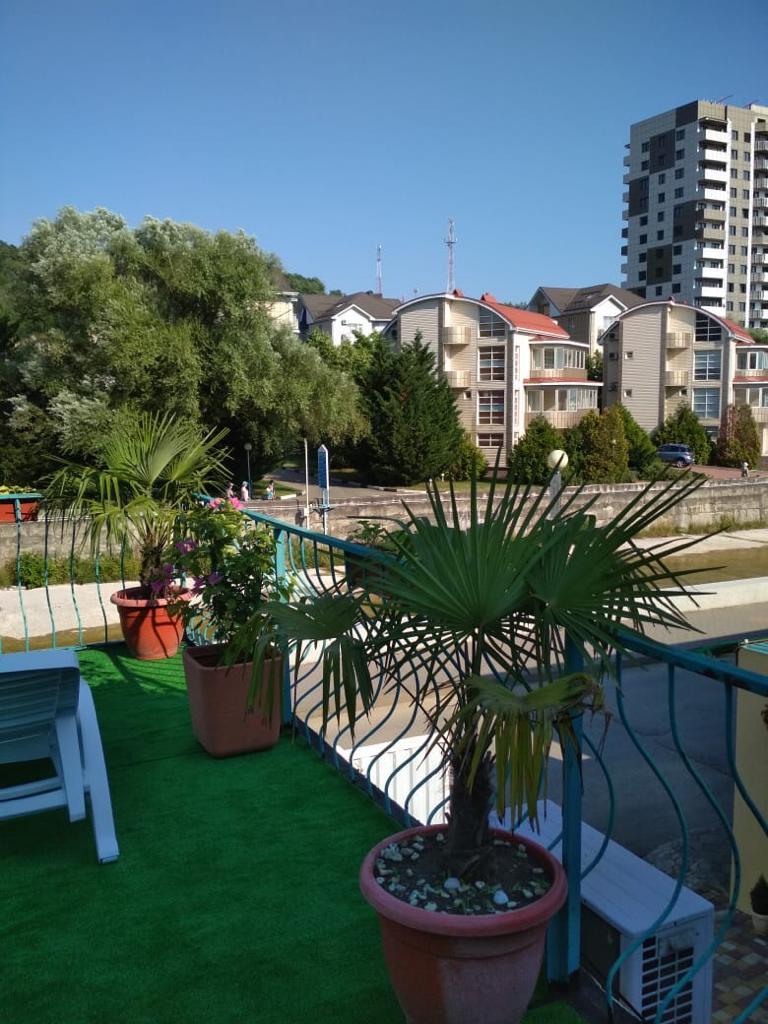 Фото Фламинго