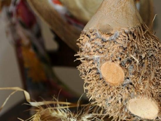 Hotel Agriturismo Il Gioco dell'Oca, Piedmont, photo