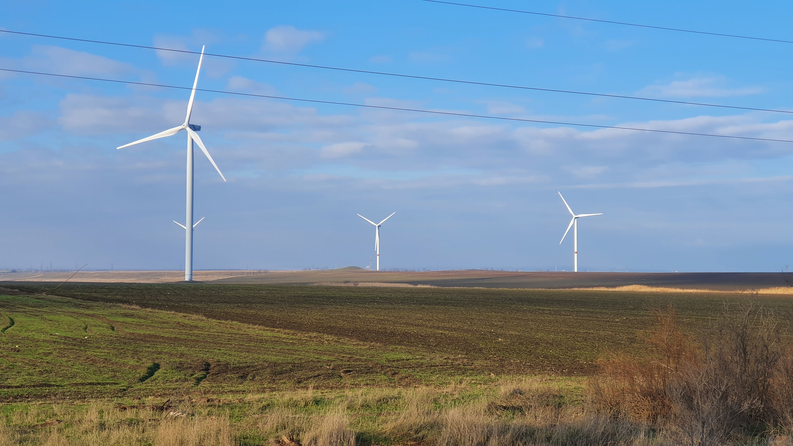 Фото Аврора