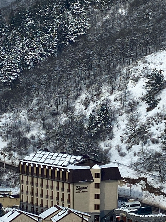 Фото Элегант