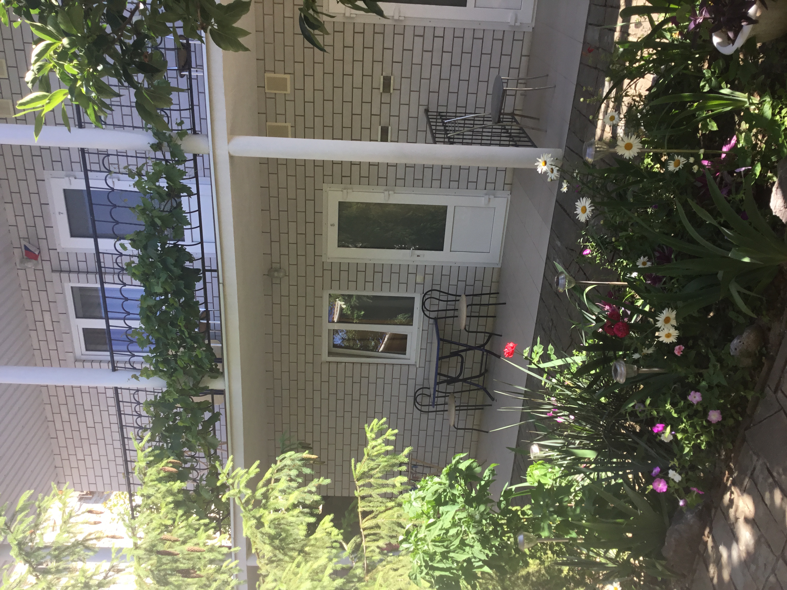 Фото Михалыч