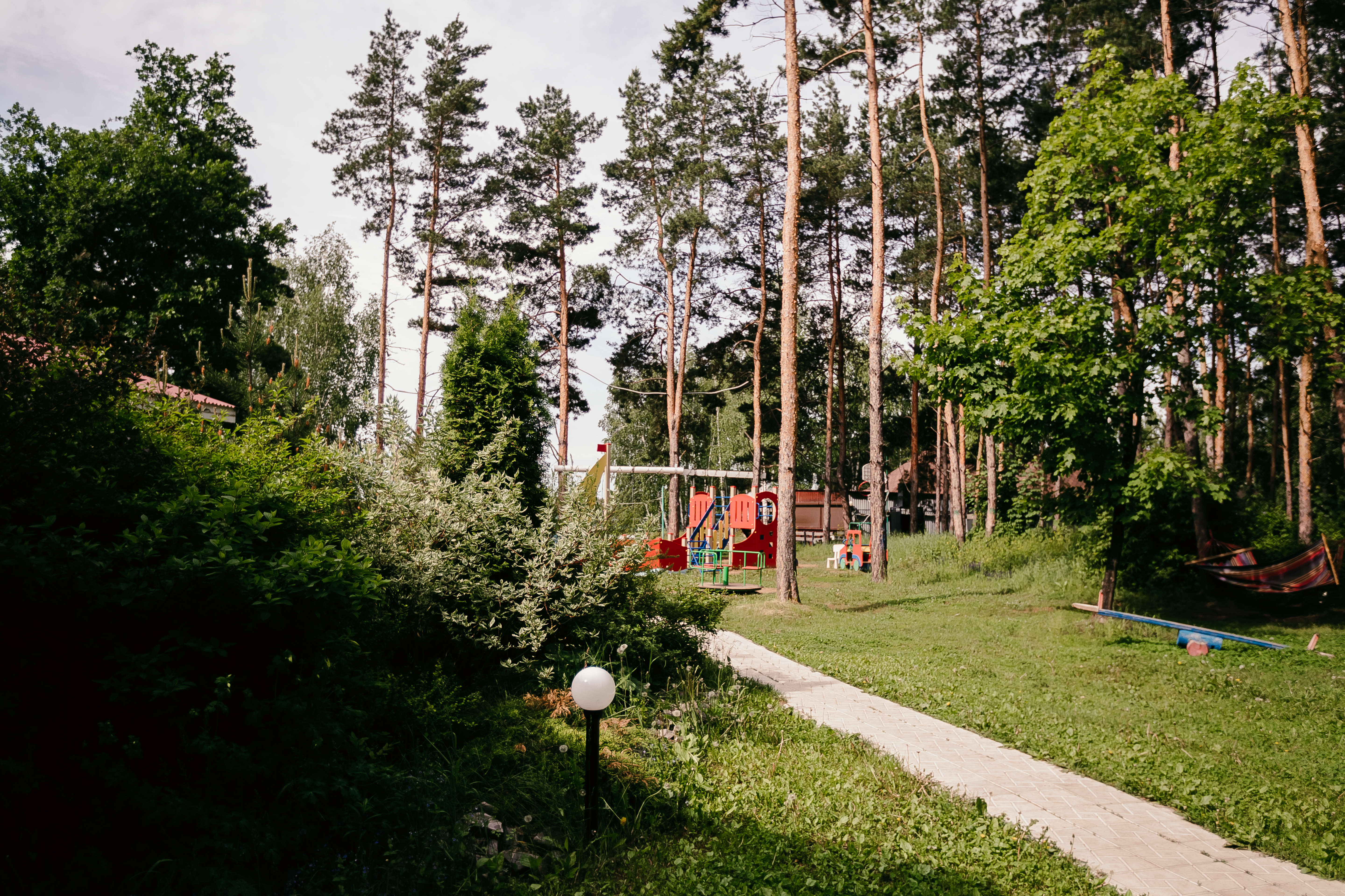 Фото Лесная гавань