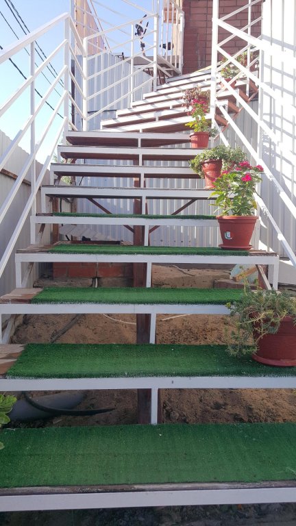 Фото Мон Плейзир