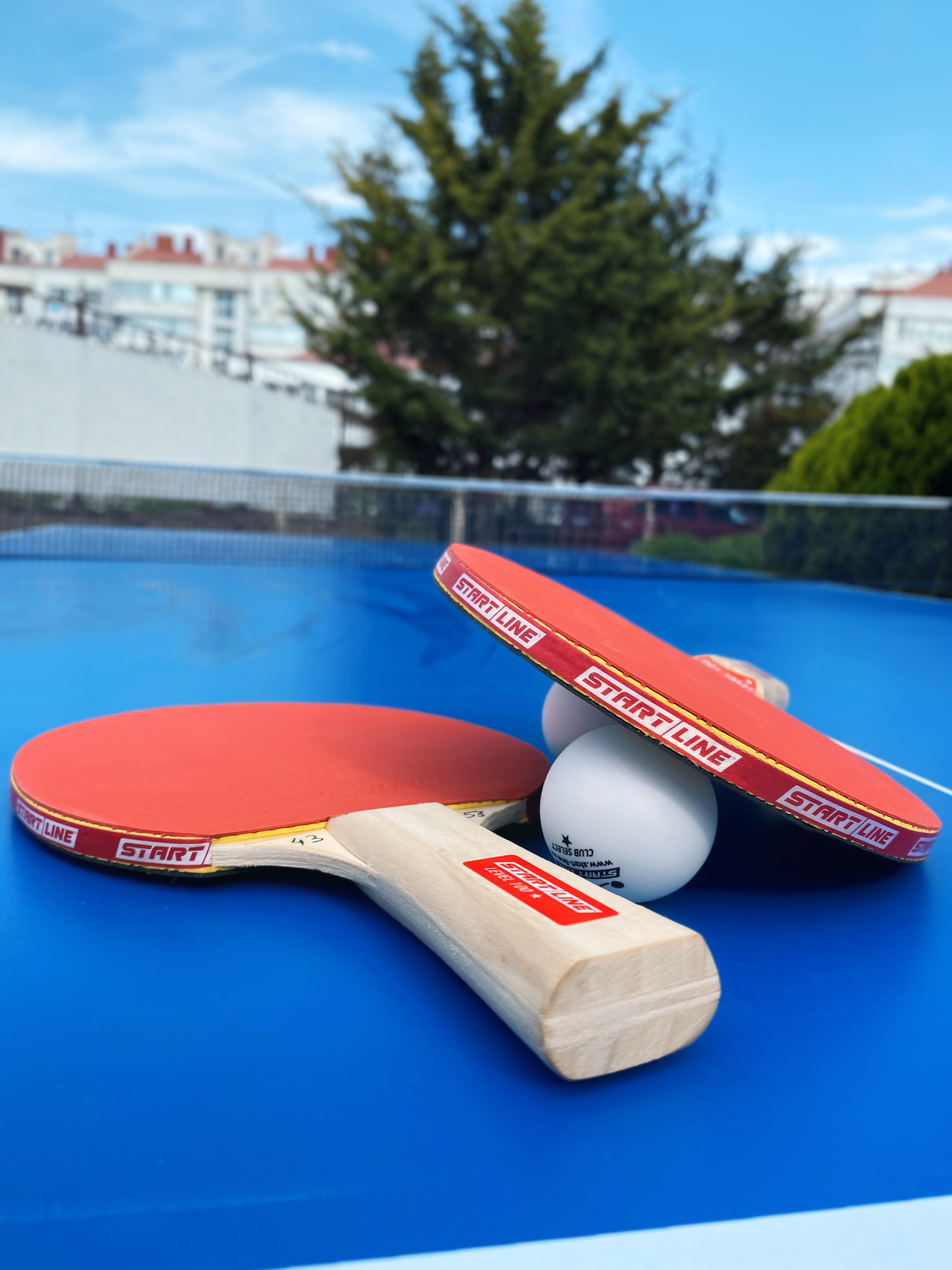 Фото Атриум