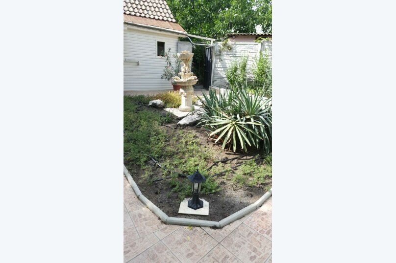 Фото Орхидея