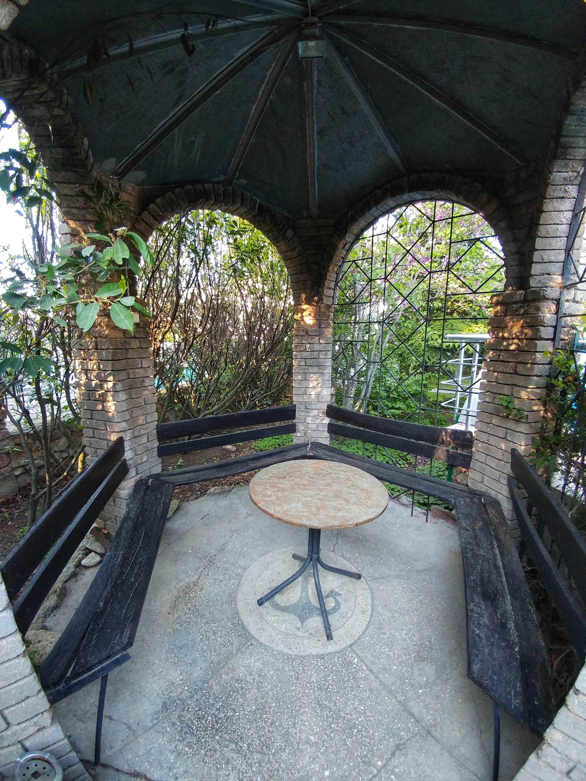 Фото Афалина