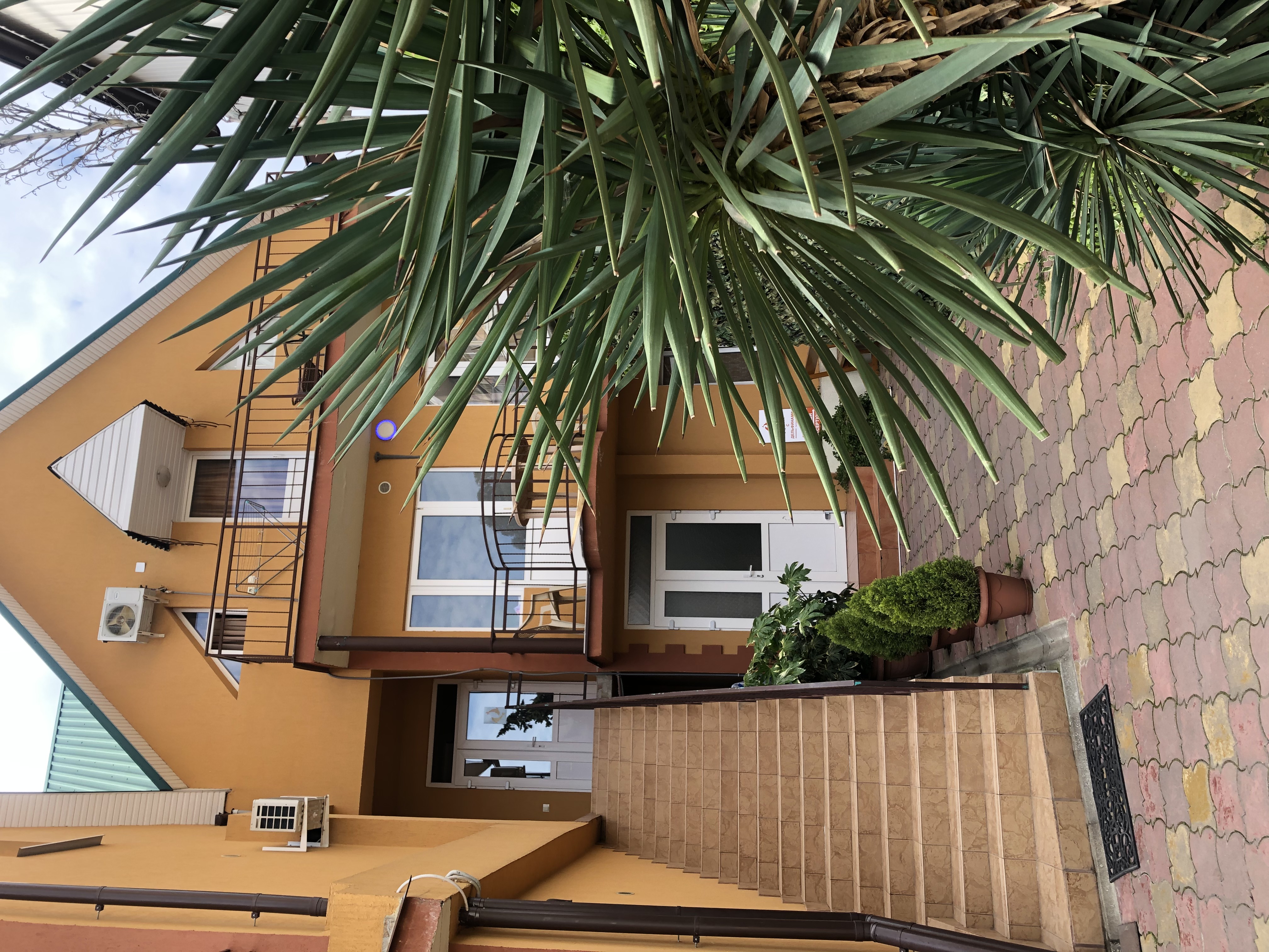 Фото Дом с дельфинами