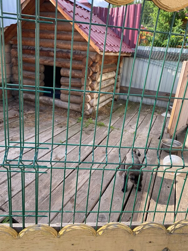 Барская усадьба — фото 10