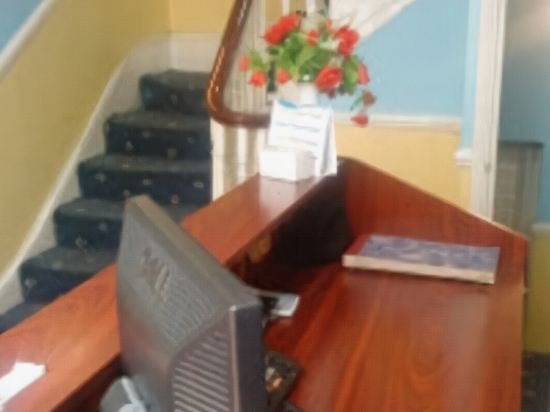 Фото Hotel Sophia