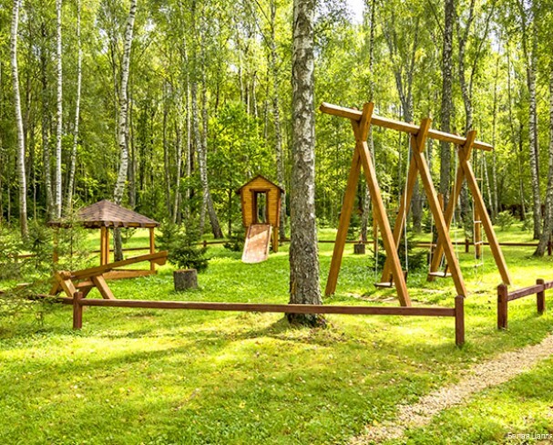 Фото Белая цапля