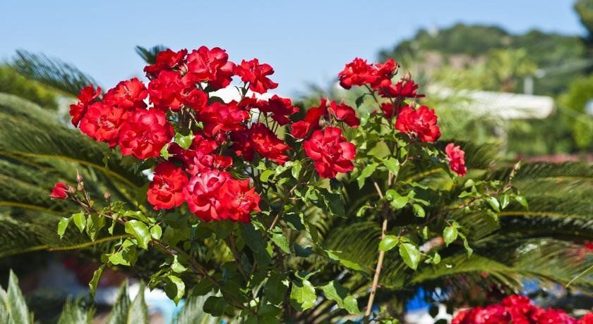 Фото Casa di Meglio Dependance